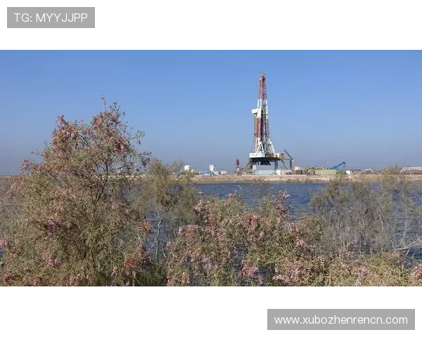 马来西亚云顶集团在可持续发展方面的环保措施与社会贡献